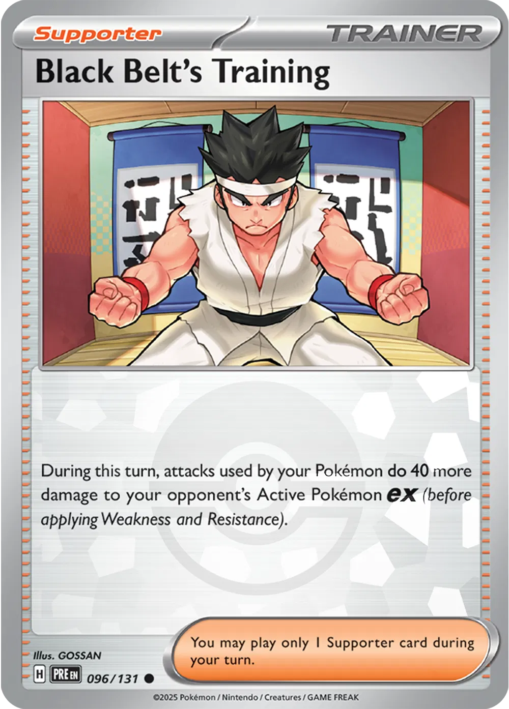 Black Belt's Training (Poke Ball Pattern)