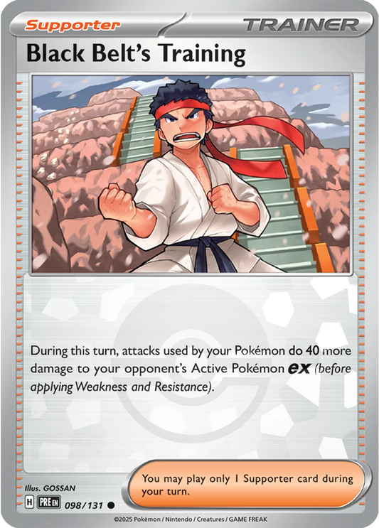 Black Belt's Training (Poke Ball Pattern)